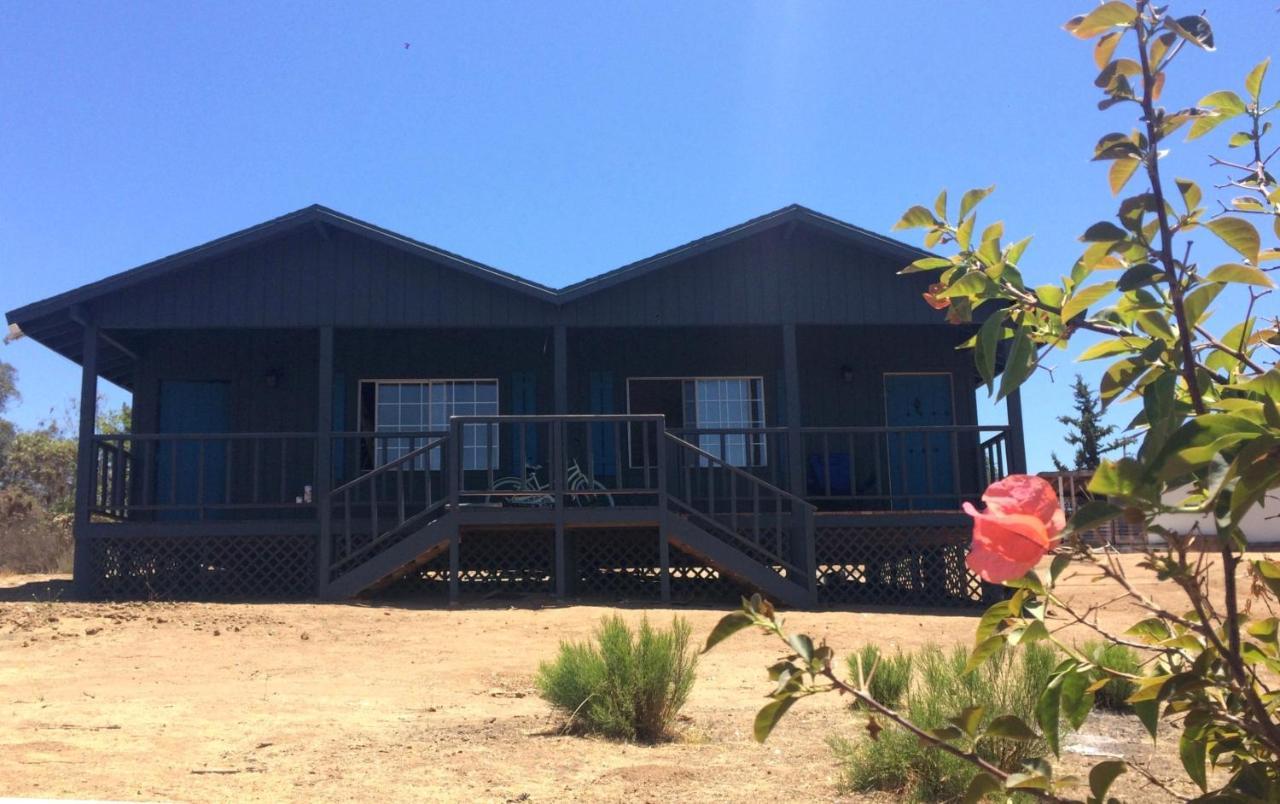 Bajo El Sol Del Valle Valle de Guadalupe Dış mekan fotoğraf